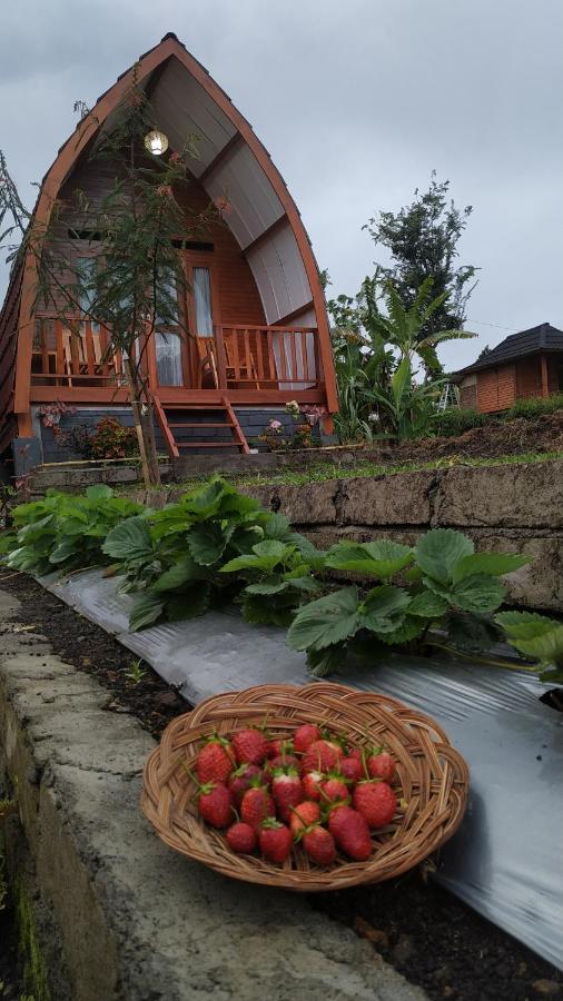 Family Rinjani Bungalow Sajang Buitenkant foto