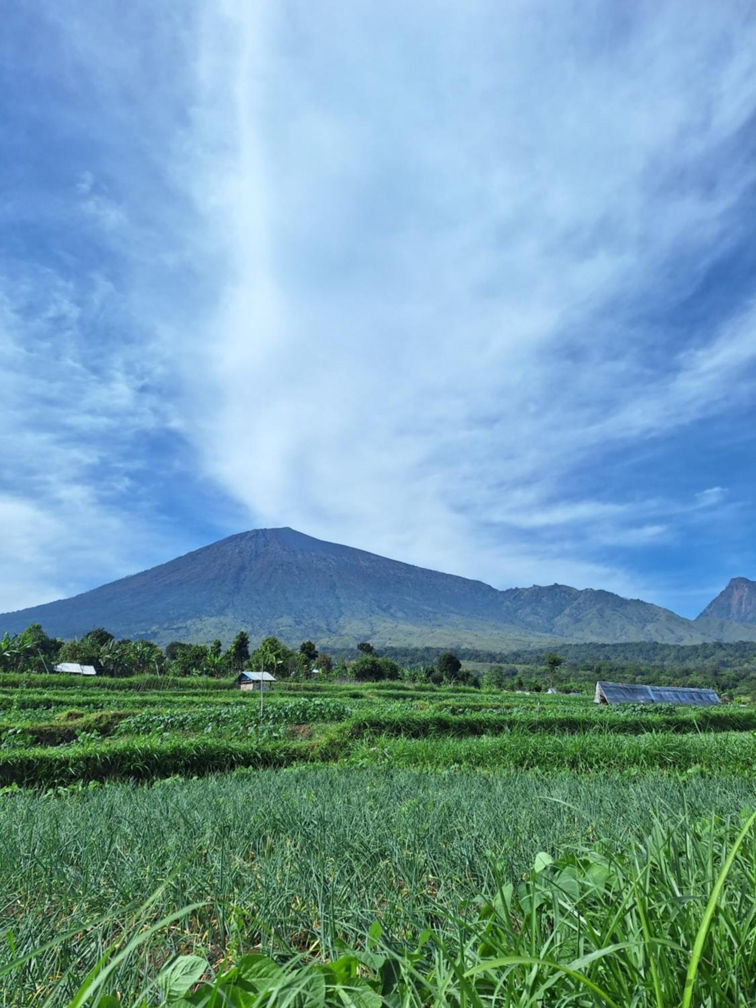 Family Rinjani Bungalow Sajang Buitenkant foto